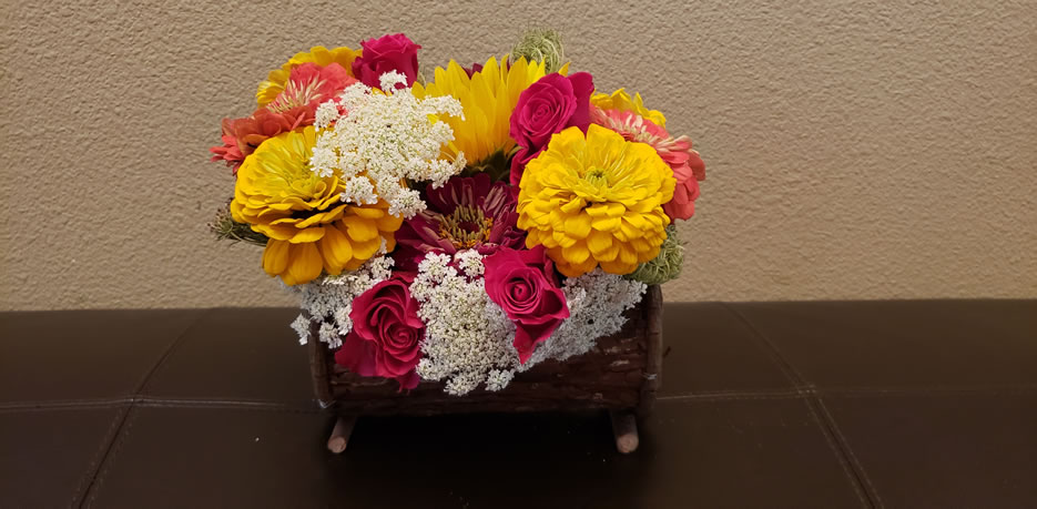 Sunflower Queen Annes Lace Rose Gerbera
